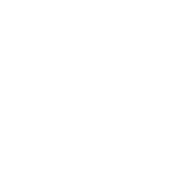 The Gallery Edit